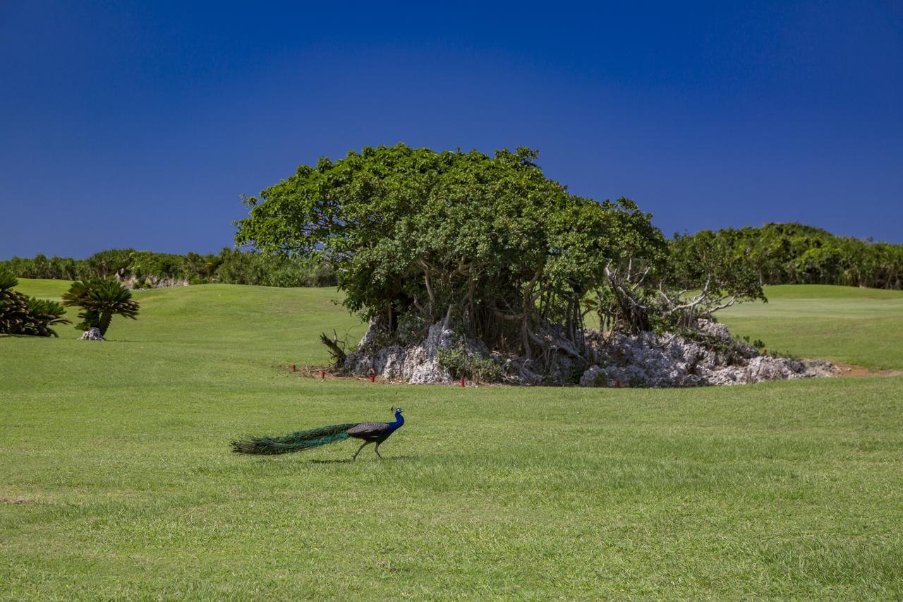 Villa Vorla Miyako-jima Luaran gambar